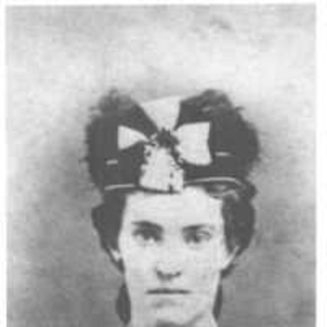Caroline Amanda Child (1839 - 1917) Profile